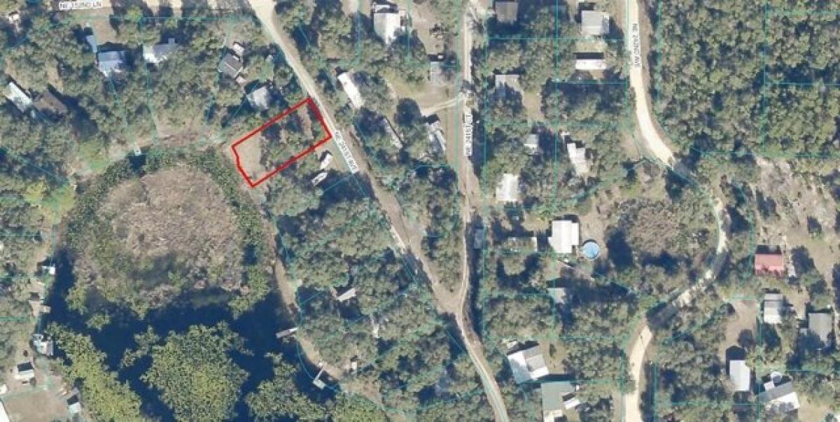 Picture of Residential Land For Sale in Salt Springs, Florida, United States