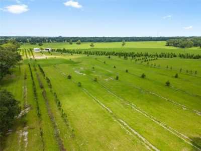 Residential Land For Sale in Williston, Florida