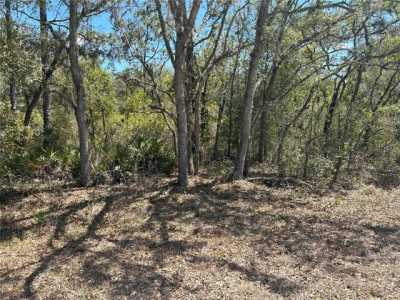 Residential Land For Sale in Webster, Florida