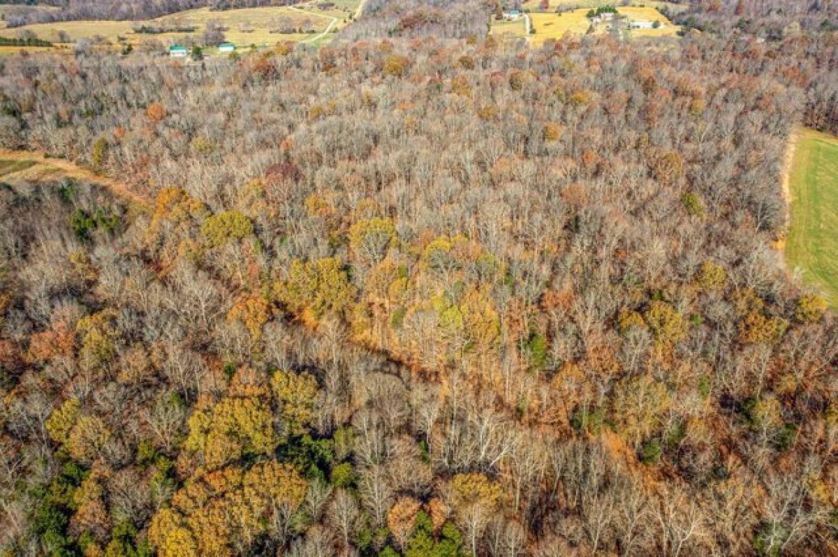 Picture of Residential Land For Sale in Cumberland Furnace, Tennessee, United States