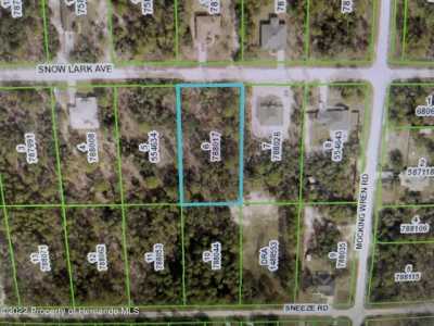 Residential Land For Sale in Brooksville, Florida