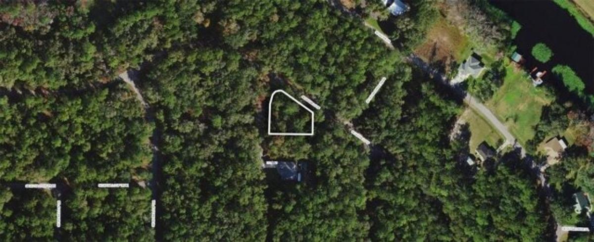 Picture of Residential Land For Sale in Ocklawaha, Florida, United States