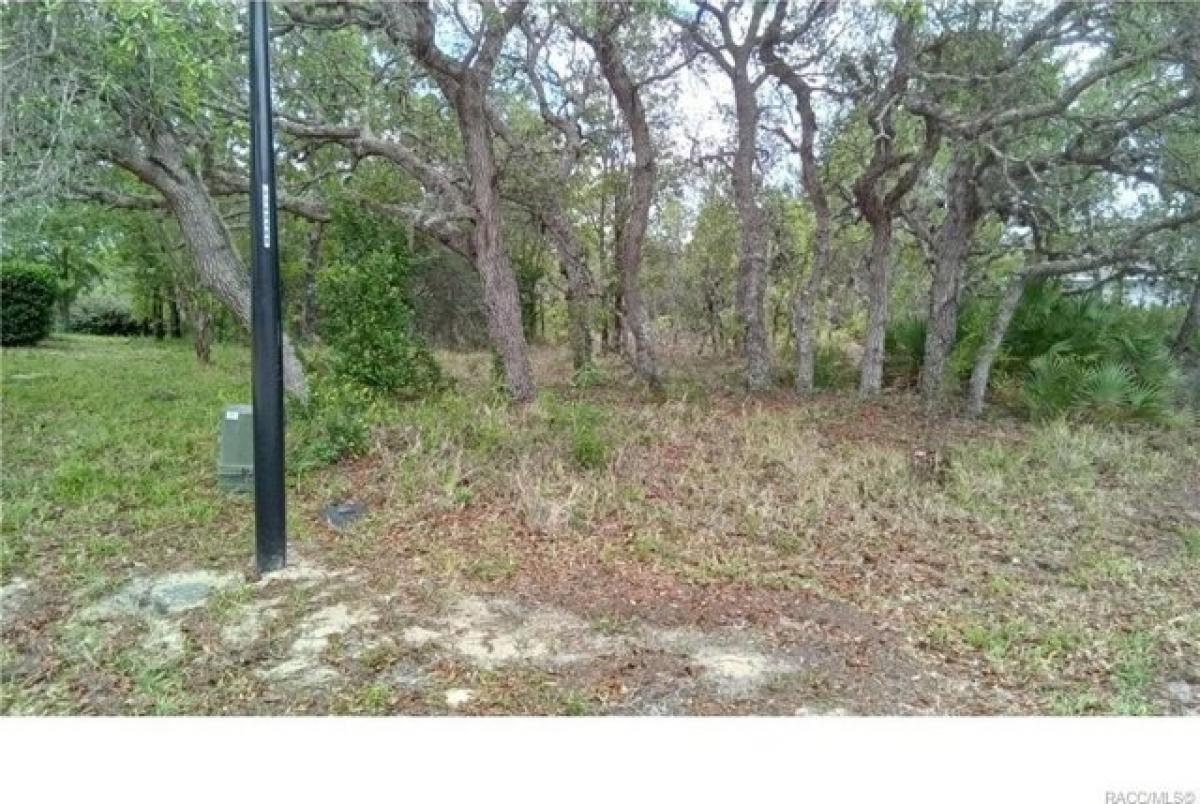 Picture of Residential Land For Sale in Homosassa, Florida, United States