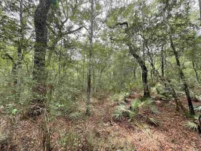 Residential Land For Sale in Branford, Florida