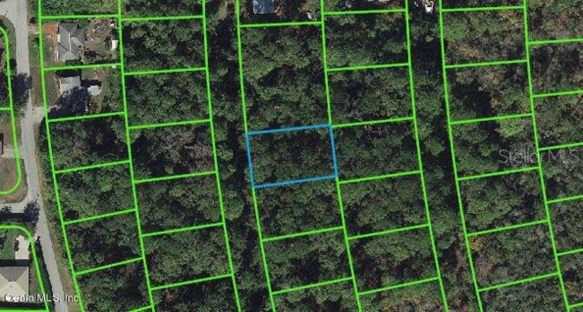 Picture of Residential Land For Sale in Lake Placid, Florida, United States