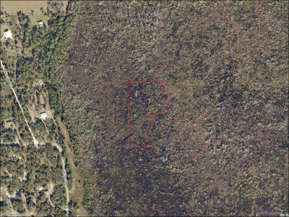 Picture of Residential Land For Sale in Clermont, Florida, United States