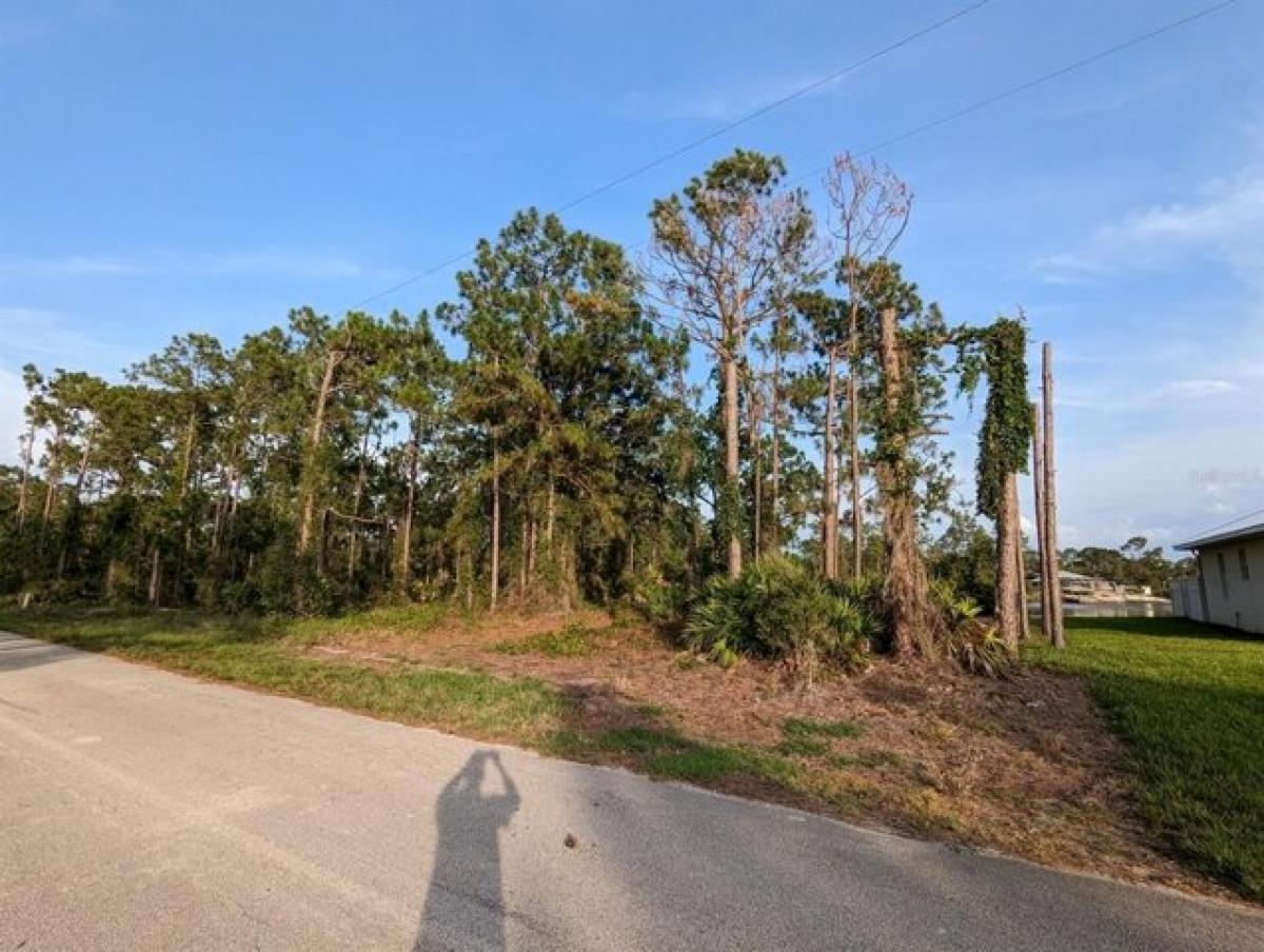 Picture of Residential Land For Sale in Lake Placid, Florida, United States