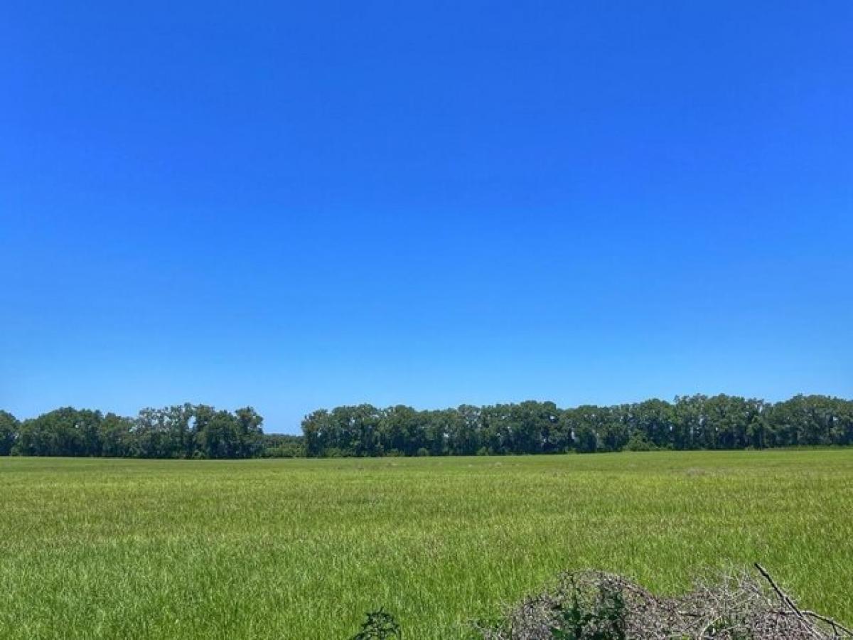 Picture of Residential Land For Sale in Trenton, Florida, United States