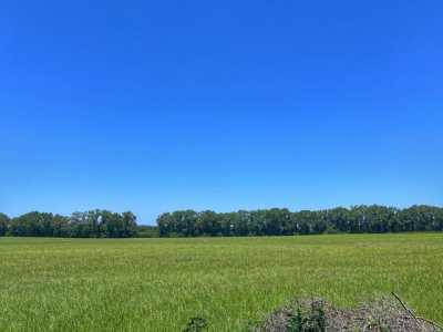 Residential Land For Sale in Trenton, Florida