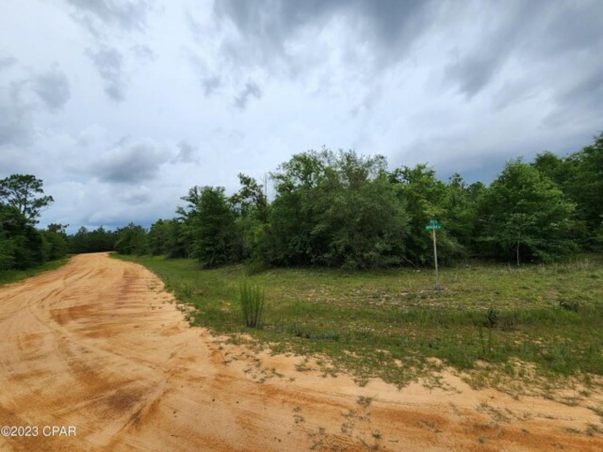 Picture of Residential Land For Sale in Alford, Florida, United States