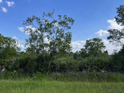 Residential Land For Sale in Okeechobee, Florida