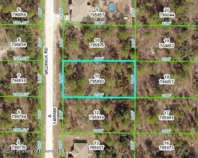 Residential Land For Sale in Brooksville, Florida