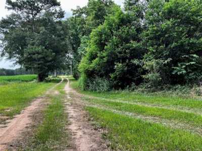 Residential Land For Sale in Hartford, Alabama