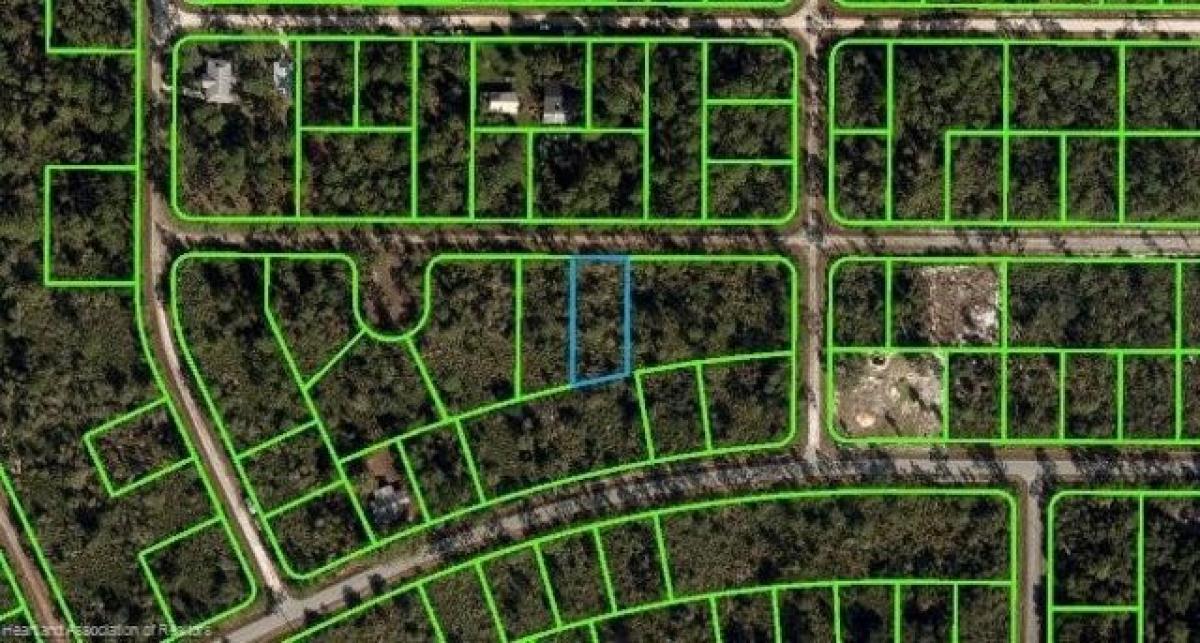 Picture of Residential Land For Sale in Lake Placid, Florida, United States