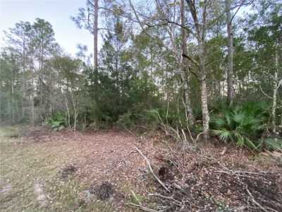 Residential Land For Sale in Bunnell, Florida