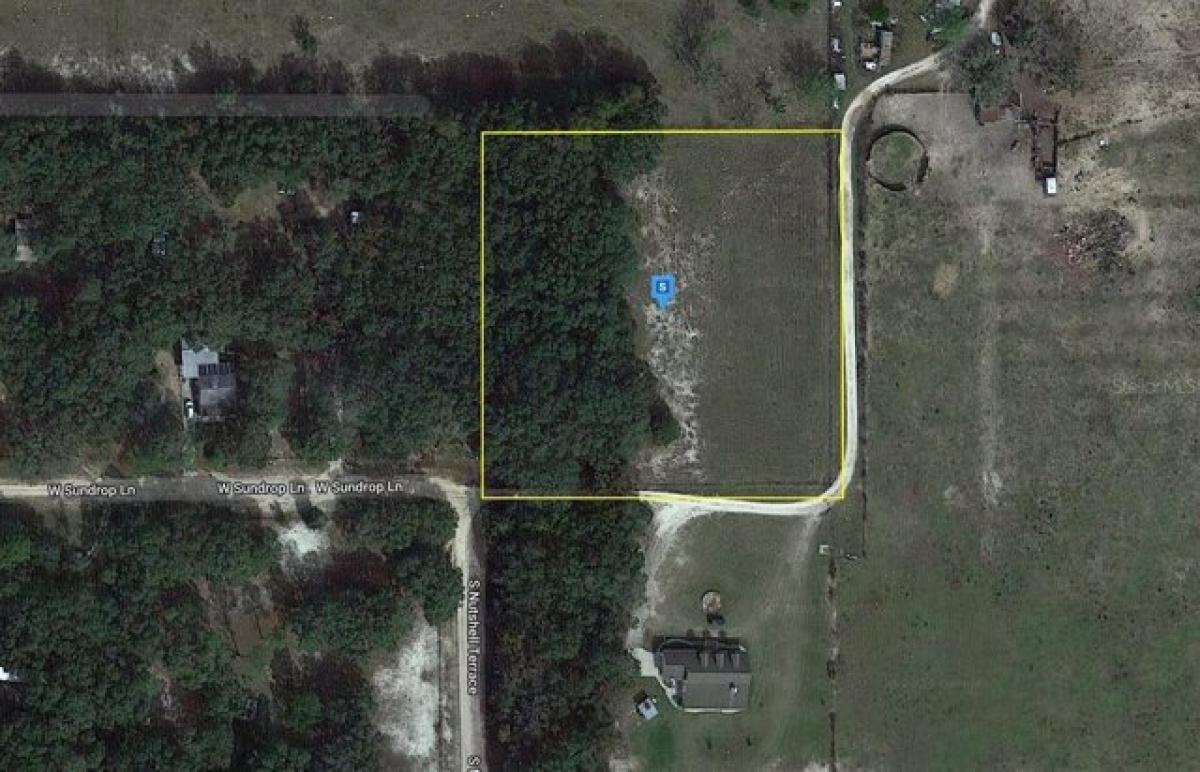 Picture of Residential Land For Sale in Lecanto, Florida, United States