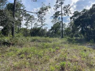 Residential Land For Sale in Williston, Florida