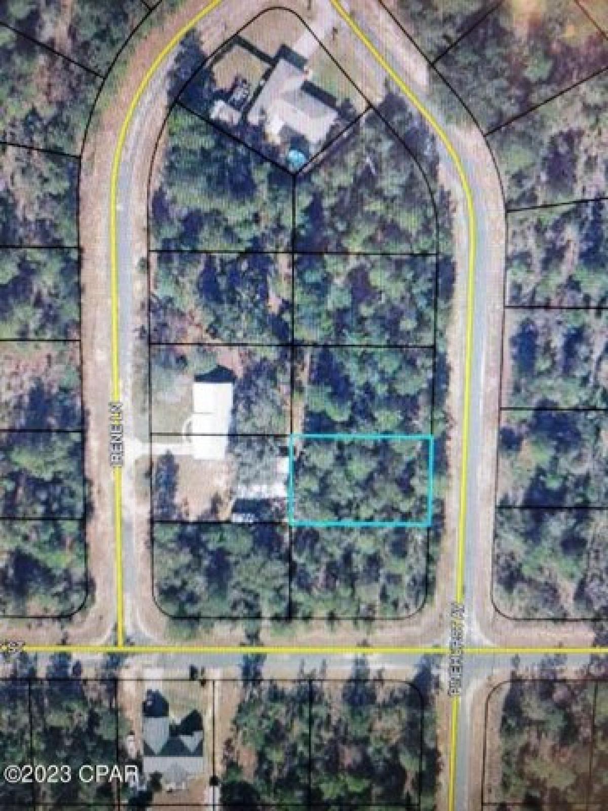 Picture of Residential Land For Sale in Chipley, Florida, United States