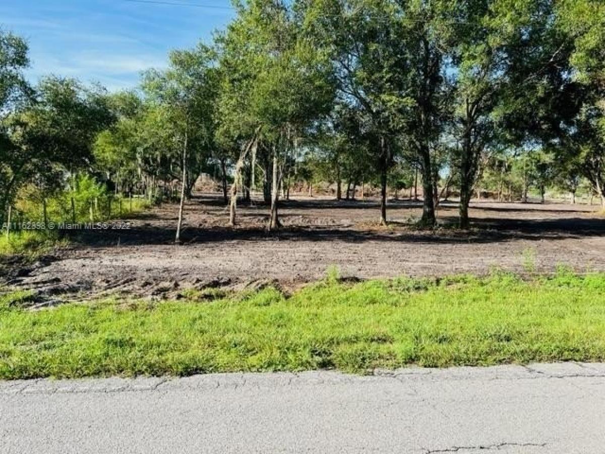 Picture of Residential Land For Sale in Clewiston, Florida, United States