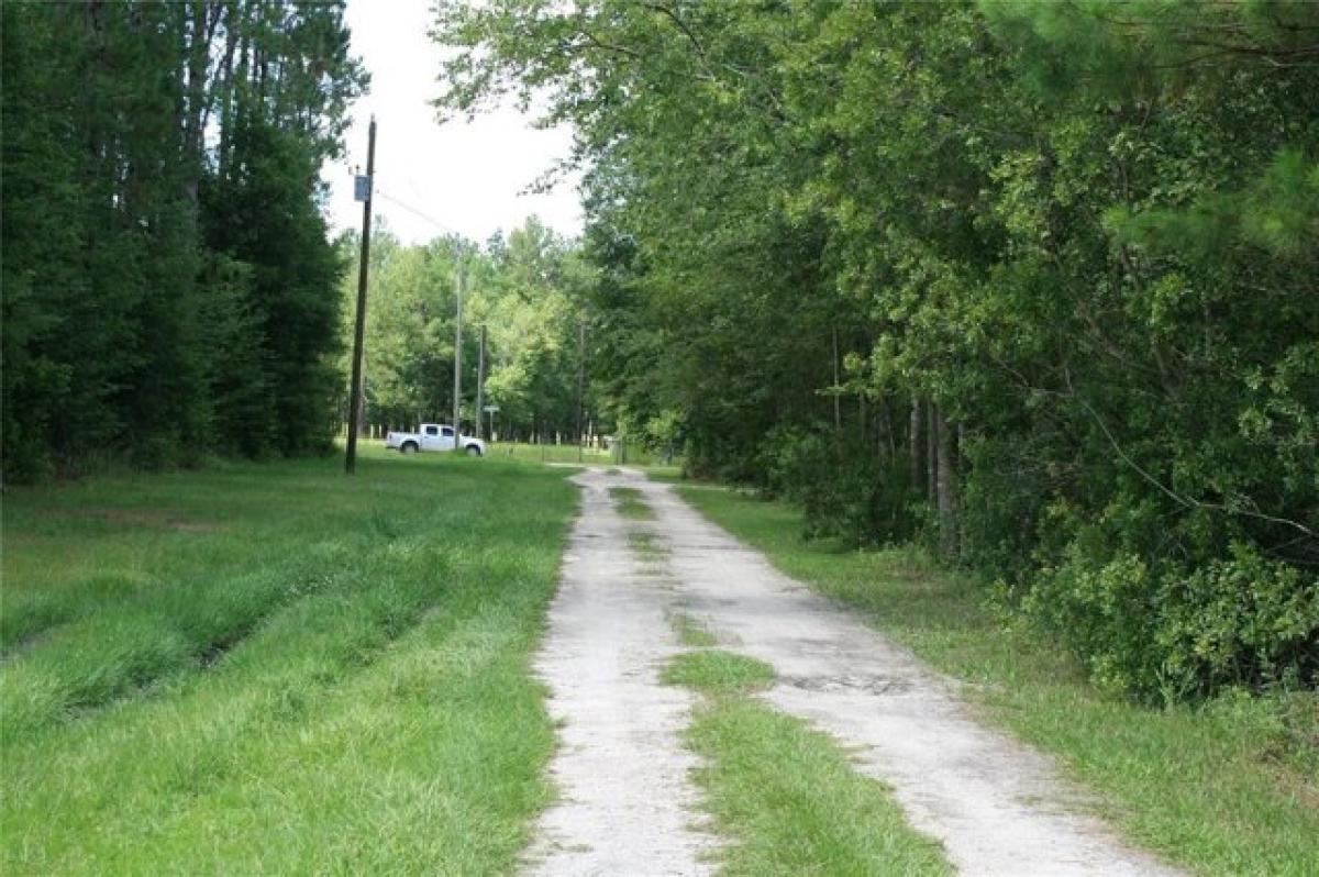 Picture of Residential Land For Sale in Waldo, Florida, United States