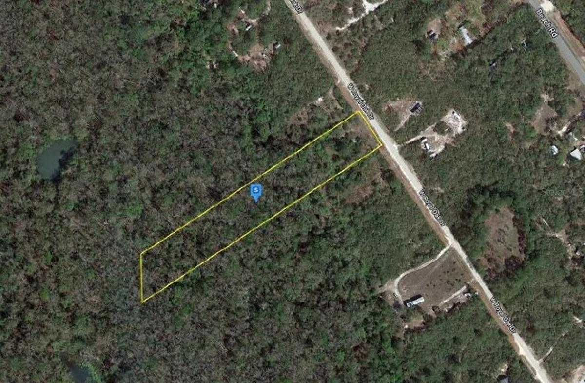 Picture of Residential Land For Sale in Perry, Florida, United States