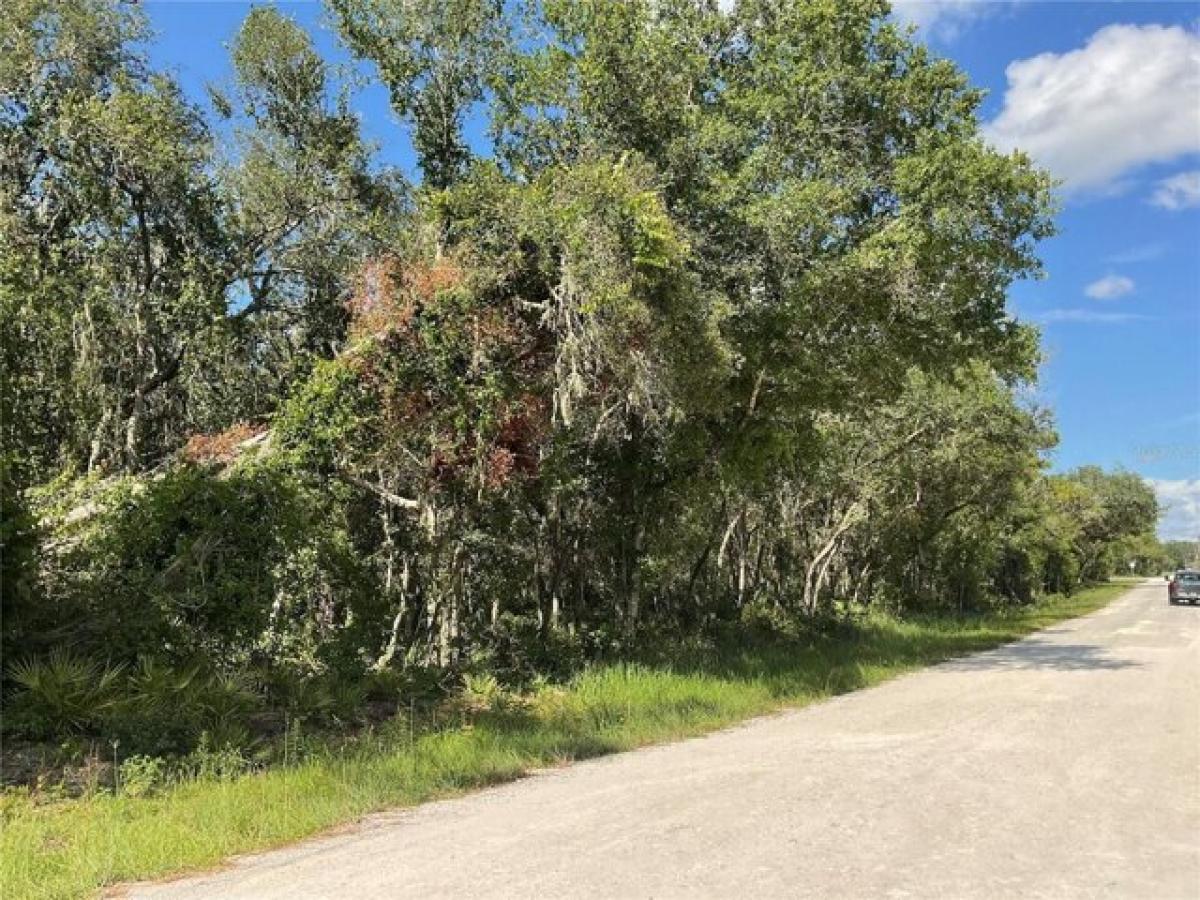 Picture of Residential Land For Sale in Webster, Florida, United States