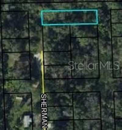 Residential Land For Sale in Bunnell, Florida