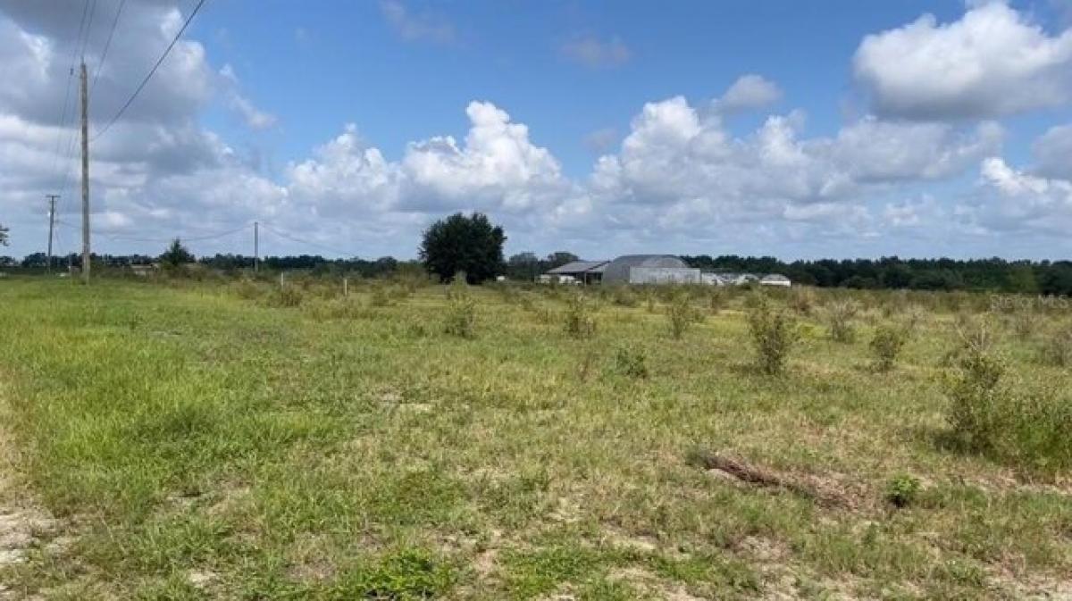 Picture of Residential Land For Sale in Haines City, Florida, United States