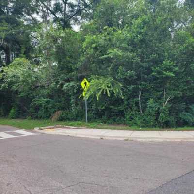 Residential Land For Sale in Tallahassee, Florida