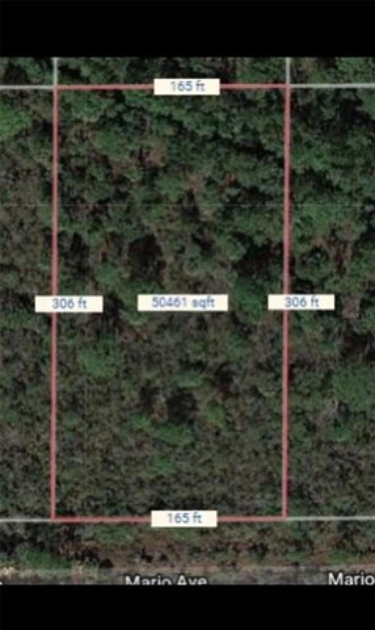 Picture of Residential Land For Sale in Cocoa, Florida, United States