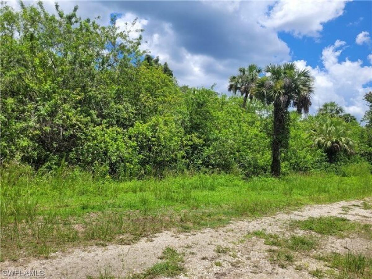 Picture of Residential Land For Sale in Naples, Florida, United States