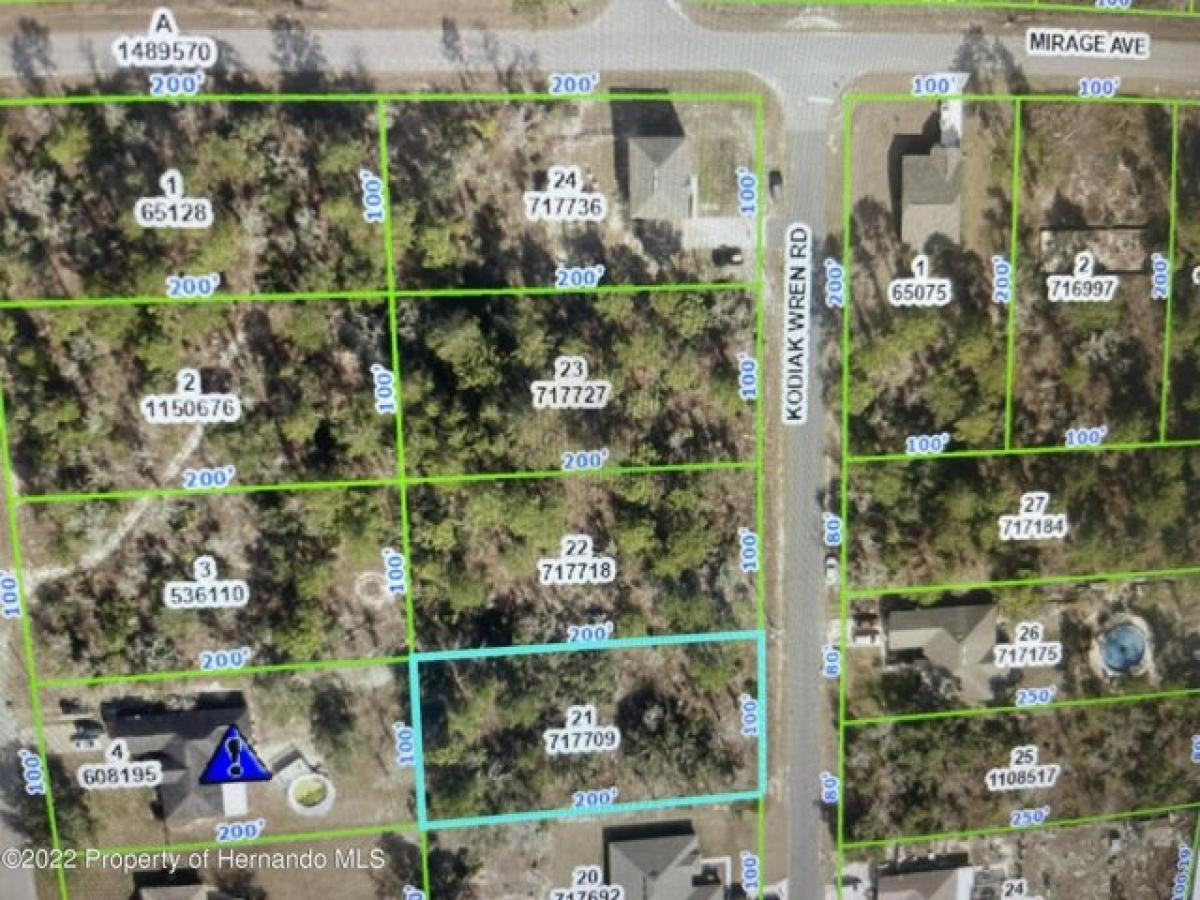 Picture of Residential Land For Sale in Brooksville, Florida, United States