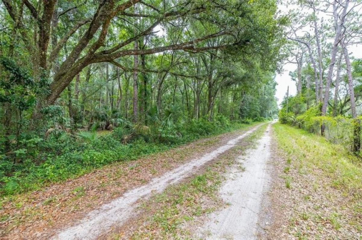 Picture of Residential Land For Sale in Wesley Chapel, Florida, United States