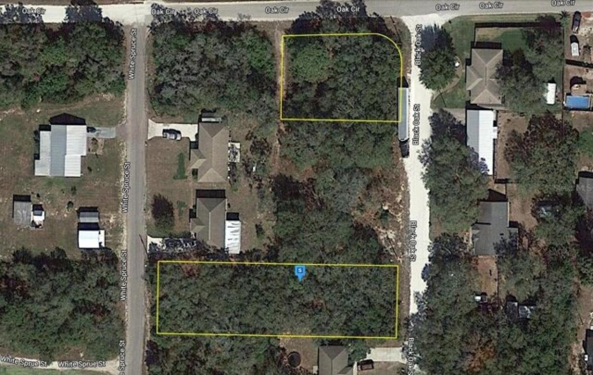 Picture of Residential Land For Sale in Sebring, Florida, United States