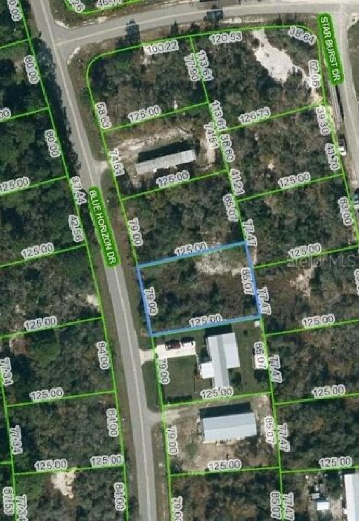 Picture of Residential Land For Sale in Lake Placid, Florida, United States