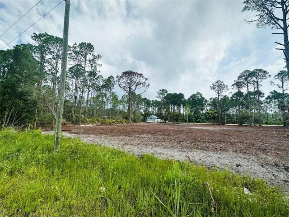 Picture of Residential Land For Sale in Perry, Florida, United States