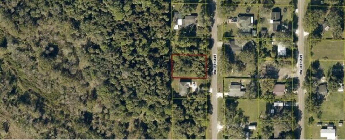 Picture of Residential Land For Sale in Okeechobee, Florida, United States