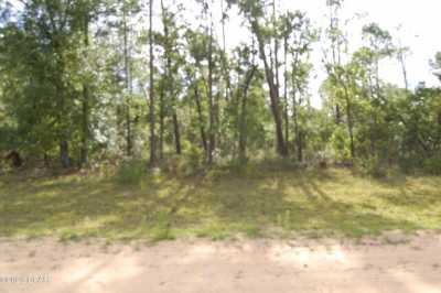 Residential Land For Sale in Alford, Florida