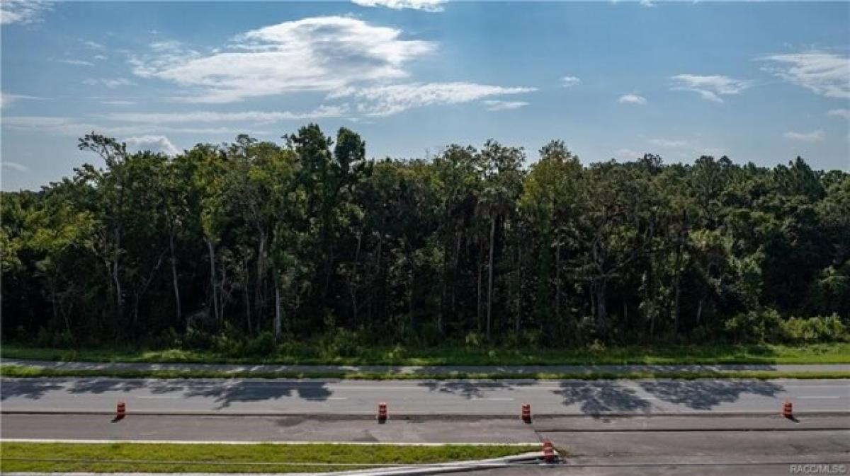 Picture of Residential Land For Sale in Homosassa, Florida, United States