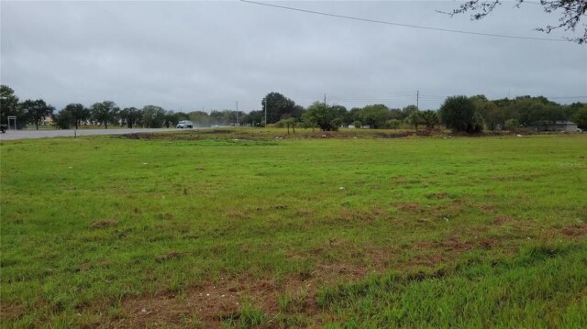 Picture of Residential Land For Sale in Tampa, Florida, United States