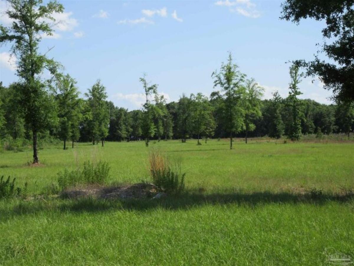 Picture of Residential Land For Sale in Pace, Florida, United States