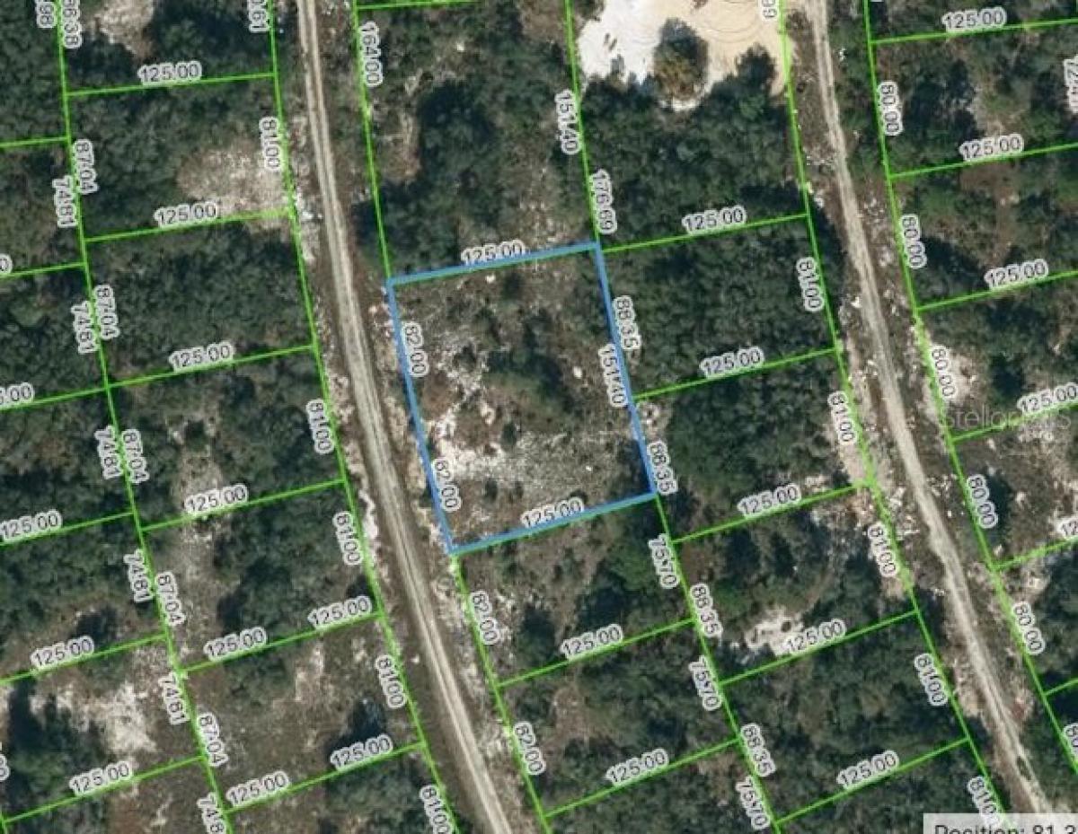 Picture of Residential Land For Sale in Lake Placid, Florida, United States