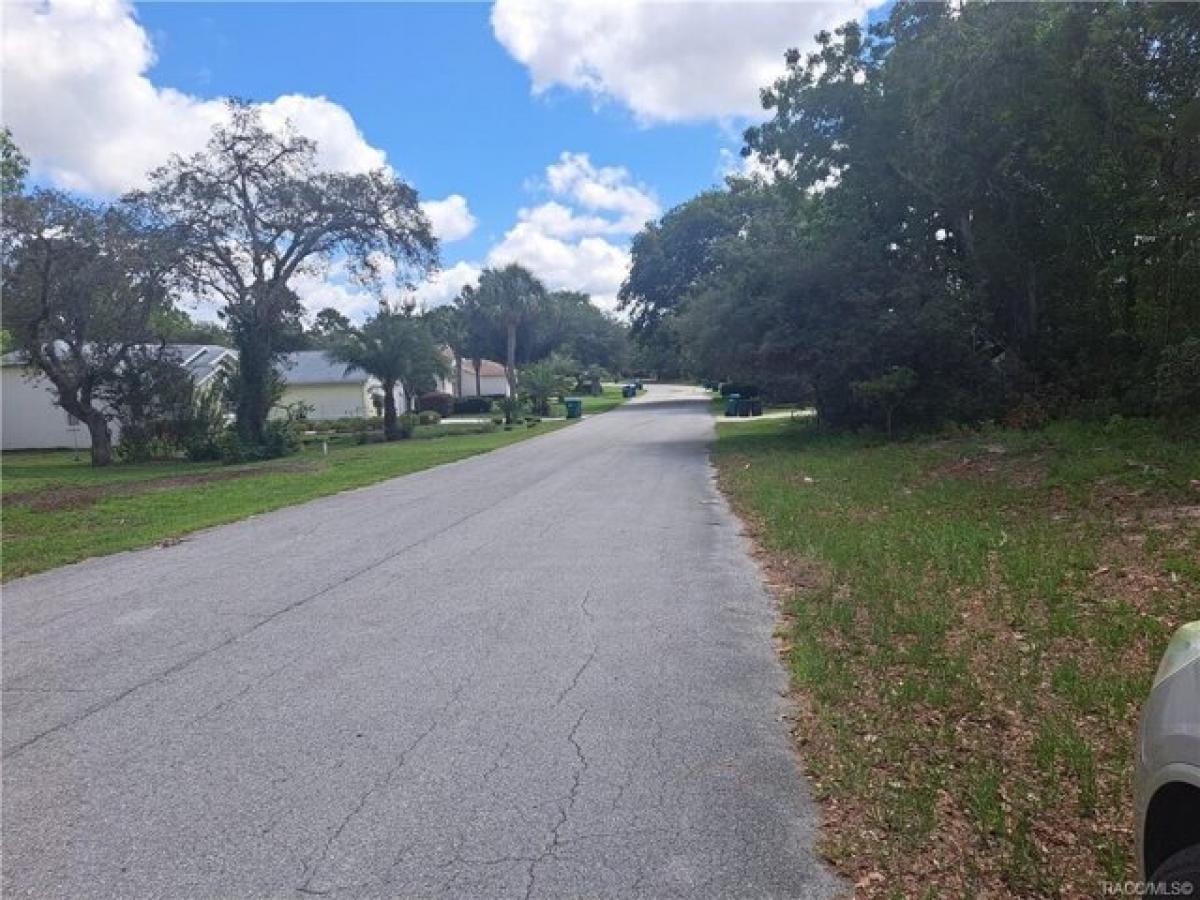 Picture of Residential Land For Sale in Homosassa, Florida, United States