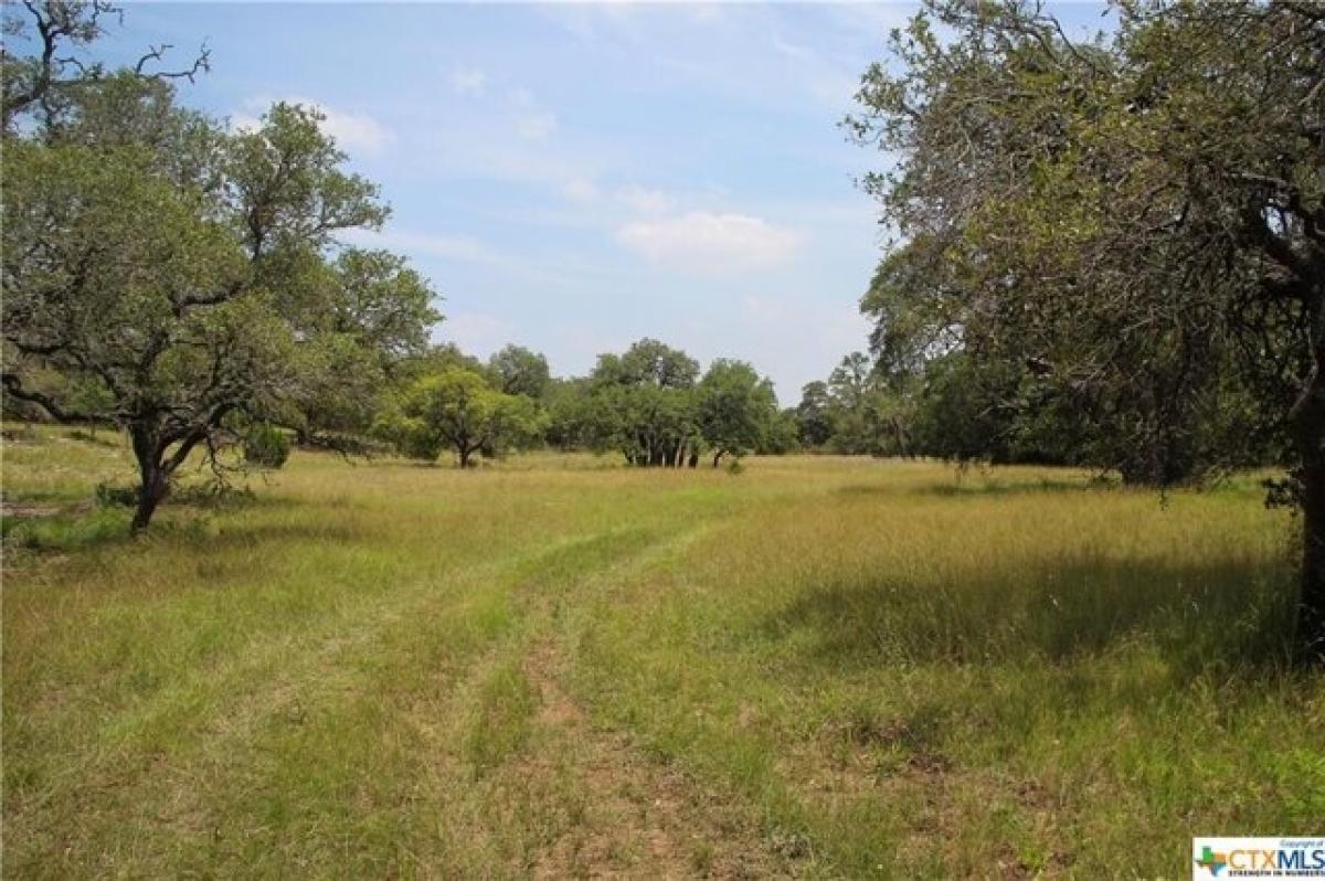 Picture of Residential Land For Sale in Bulverde, Texas, United States