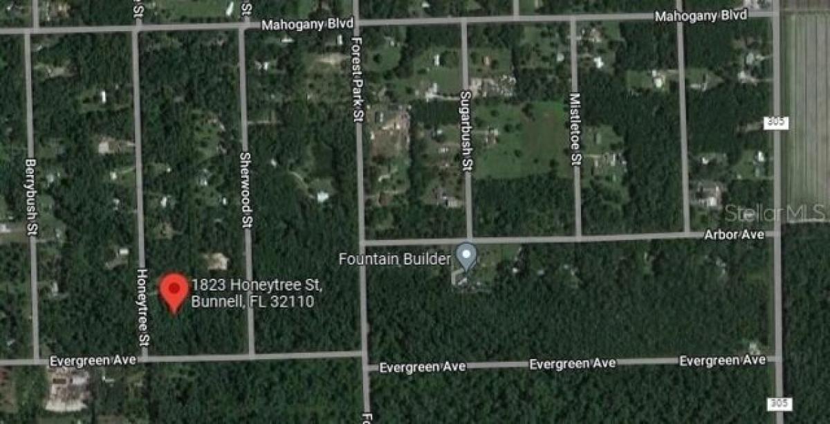 Picture of Residential Land For Sale in Bunnell, Florida, United States