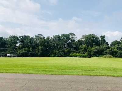 Residential Land For Sale in Williston, Florida