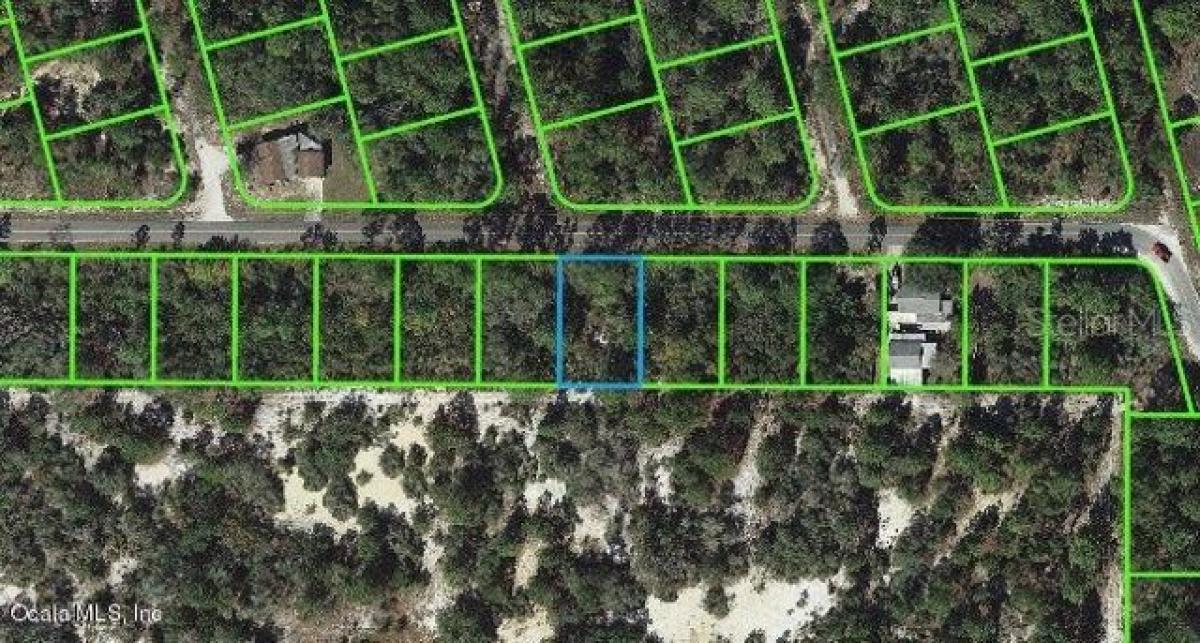 Picture of Residential Land For Sale in Lake Placid, Florida, United States