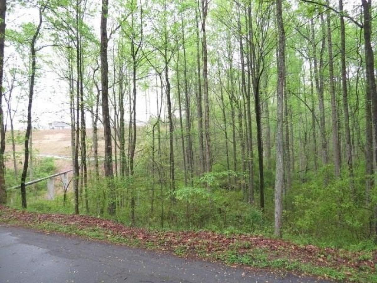 Picture of Residential Land For Sale in Easley, South Carolina, United States