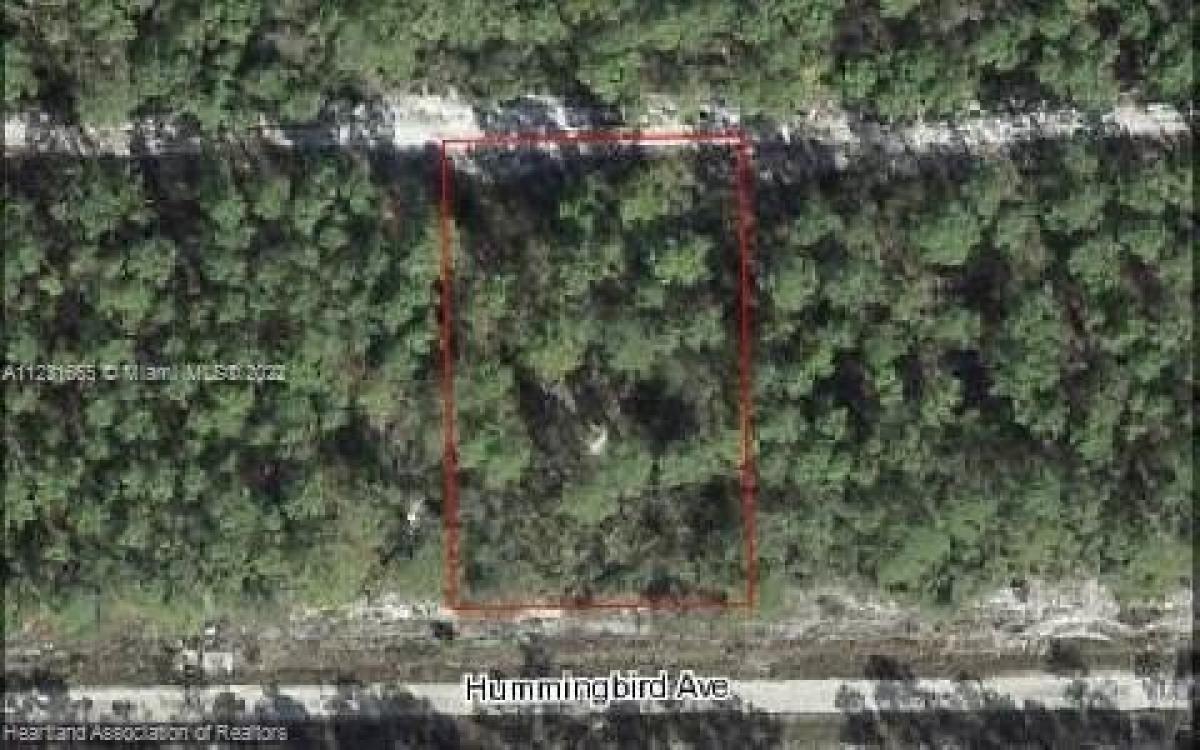 Picture of Residential Land For Sale in Lake Placid, Florida, United States