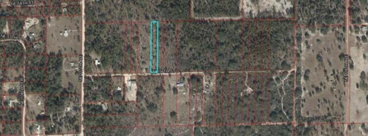 Picture of Residential Land For Sale in Williston, Florida, United States